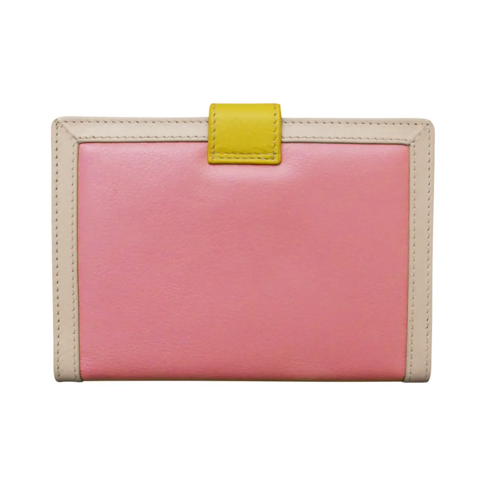 Leather Handbags and Accessories 6755 Pink Rainbow - Passport Wallet