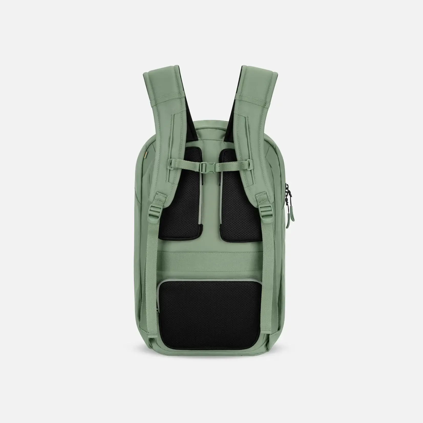 Sherpani Crew Commuter / Travel Backpack - Olivine 2026