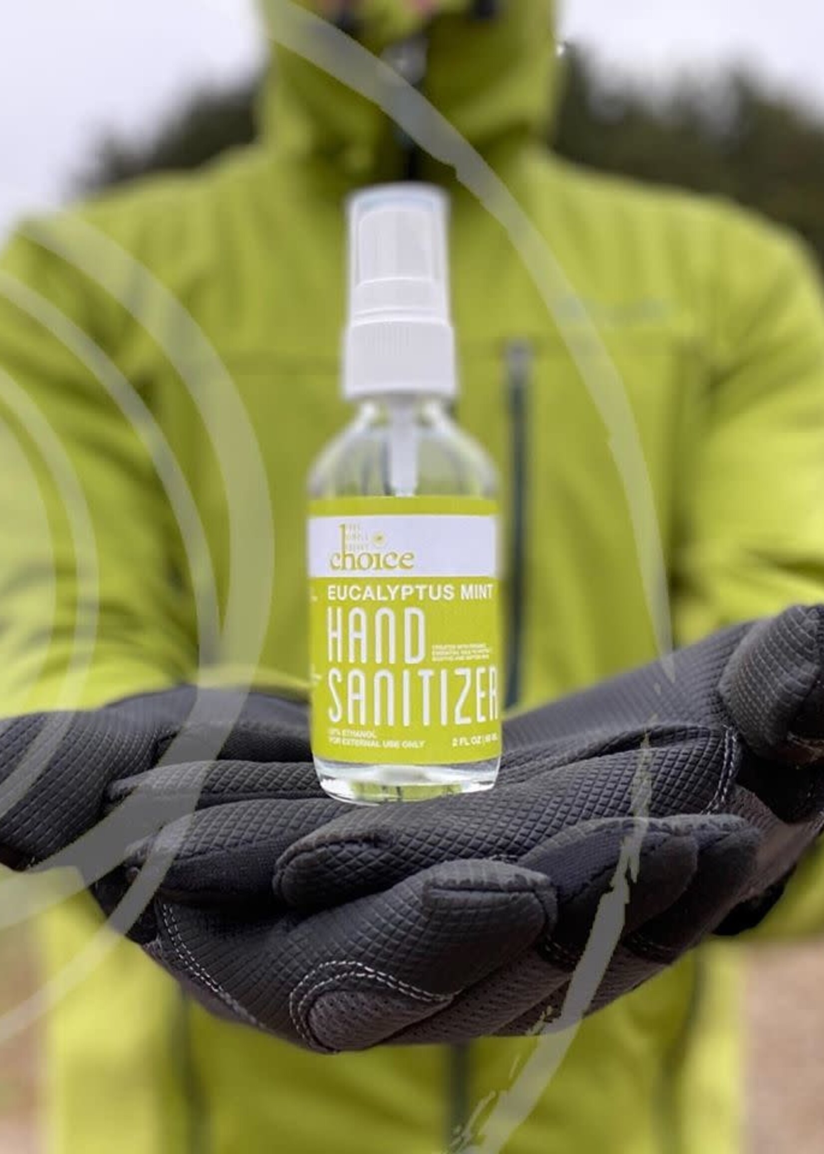 Choice Energy Products Eucalyptus Mint Hand Sanitizer 2 oz. Spray