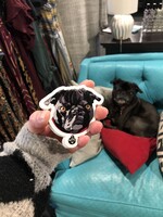 Breanne K Design Shop Dog Simon Sticker