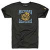 U of M Wolverbear '76