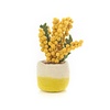 Felted Happy Houseplant Sunshine Bloom Cactus