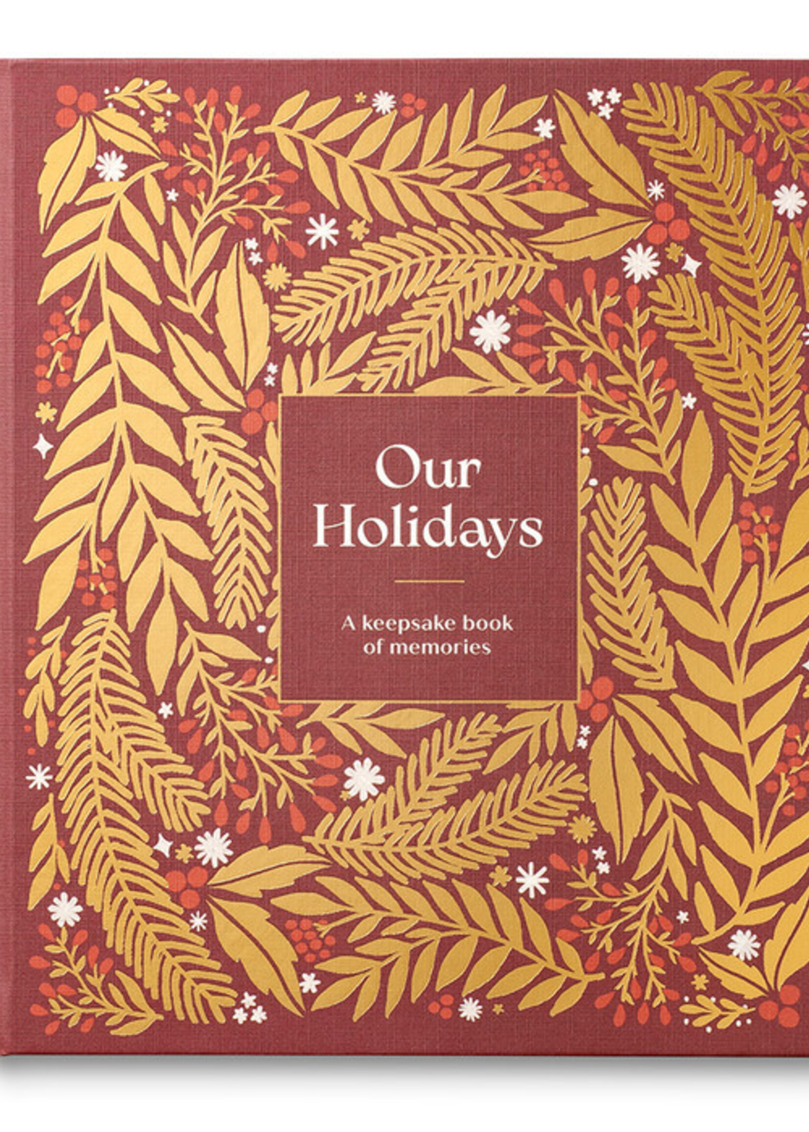 Compendium Our Holidays Book