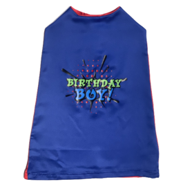Tracy's Treasures Birthday Boy Cape
