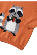 Carrot Raccoon Sweater