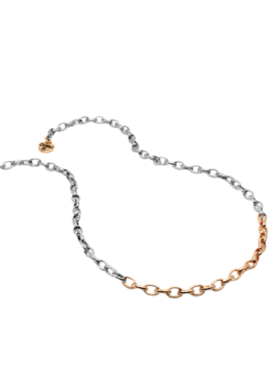 High Intencity Corporation CHARM IT! CHARM IT! Two Tone Chain Necklace