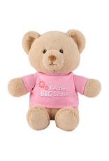 Gund I'm the Big Sister Bear Light Pink 12 in