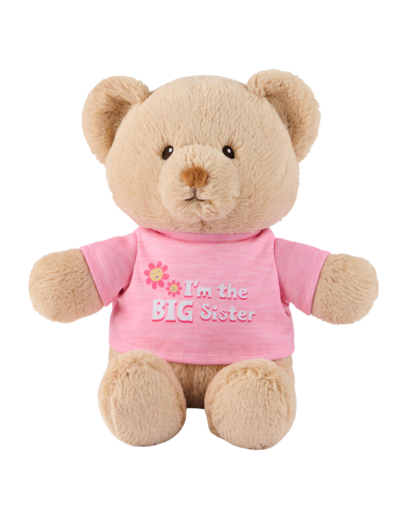 Gund I'm the Big Sister Bear Light Pink 12 in