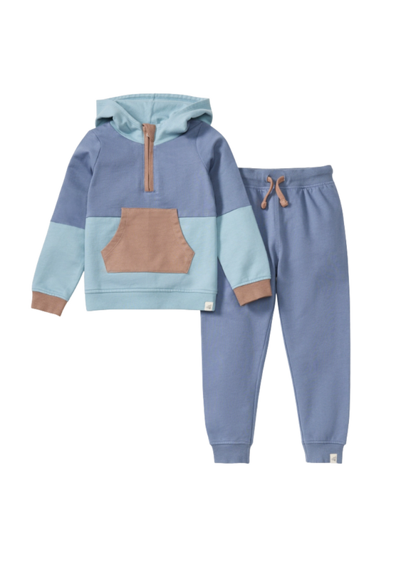 Burt's Bees Color Blocked Toddler Sweatshirt Set
