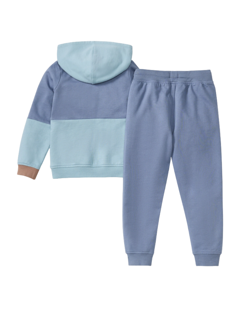 Burt's Bees Color Blocked Toddler Sweatshirt Set