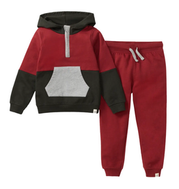 Burt's Bees Color Blocked Toddler Sweatshirt Set