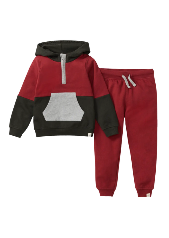 Burt's Bees Color Blocked Toddler Sweatshirt Set