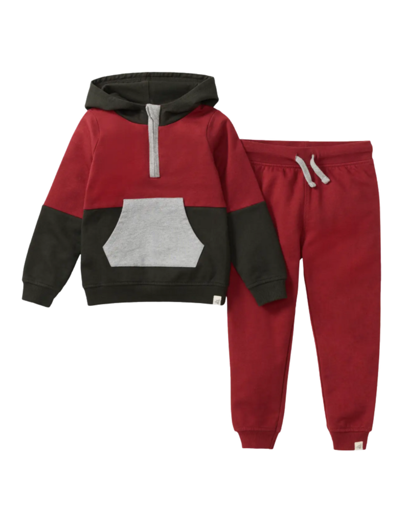 Burt's Bees Color Blocked Toddler Sweatshirt Set