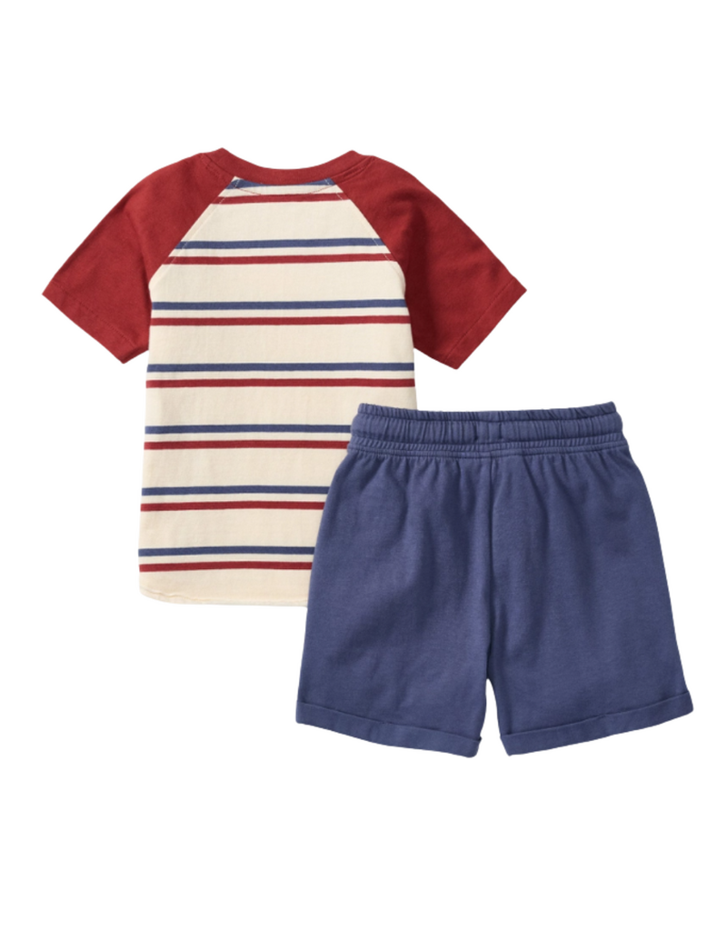 Burt's Bees USA Stripe Boy Tee & Shorts Set