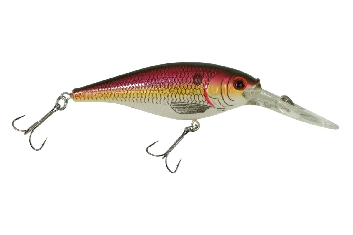 Lot #3600 Berkley Flicker Shad 6M Fleet Exclusive CHI New Out Of