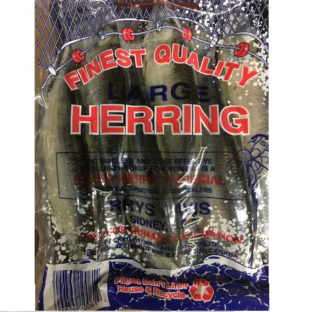 Frozen Bait Pokeys Tackle Shop