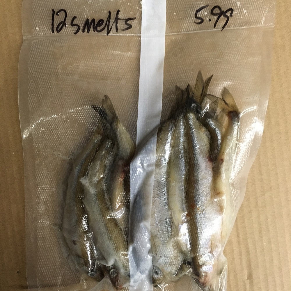 Frozen Bait Pokeys Tackle Shop