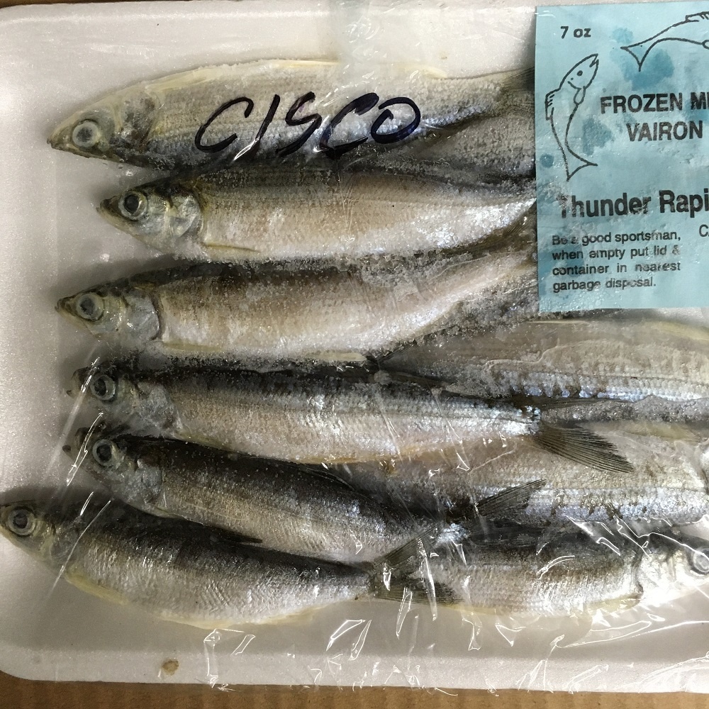 Frozen Bait Pokeys Tackle Shop