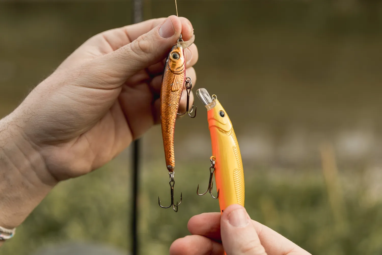 Ice Fishing Bait Guide: Top Lures and Live Options - Pokeys Tackle Shop