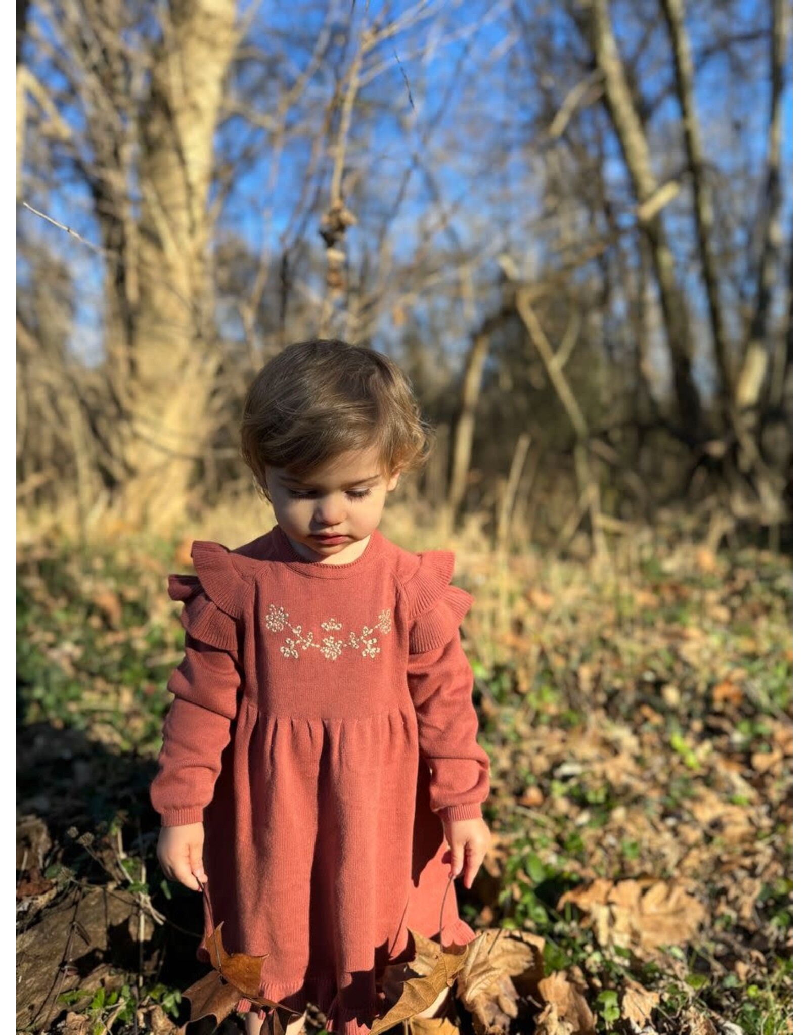 Ettie & H Ettie & H- Rust Ysella Dress