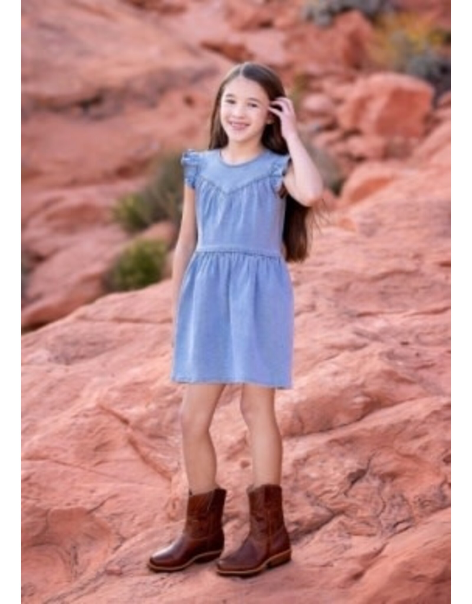 Mabel & Honey Mabel & Honey- Sunset Field Denim Dress
