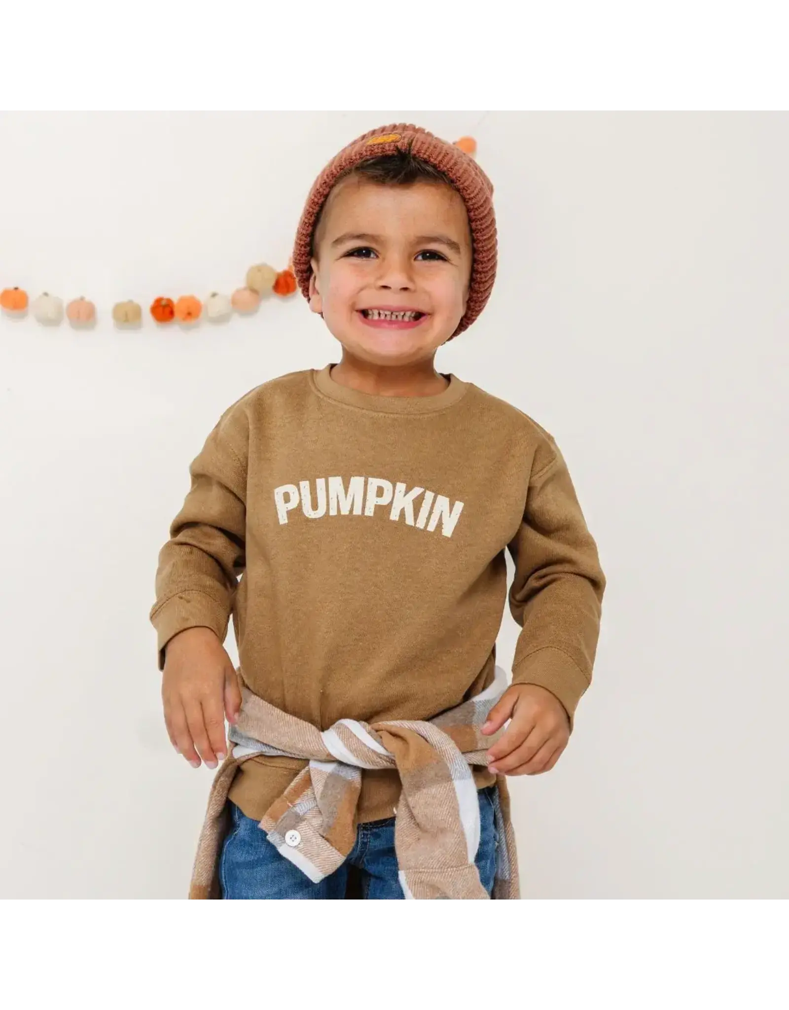 Sweet Wink- Pumpkin Mocha Sweatshirt