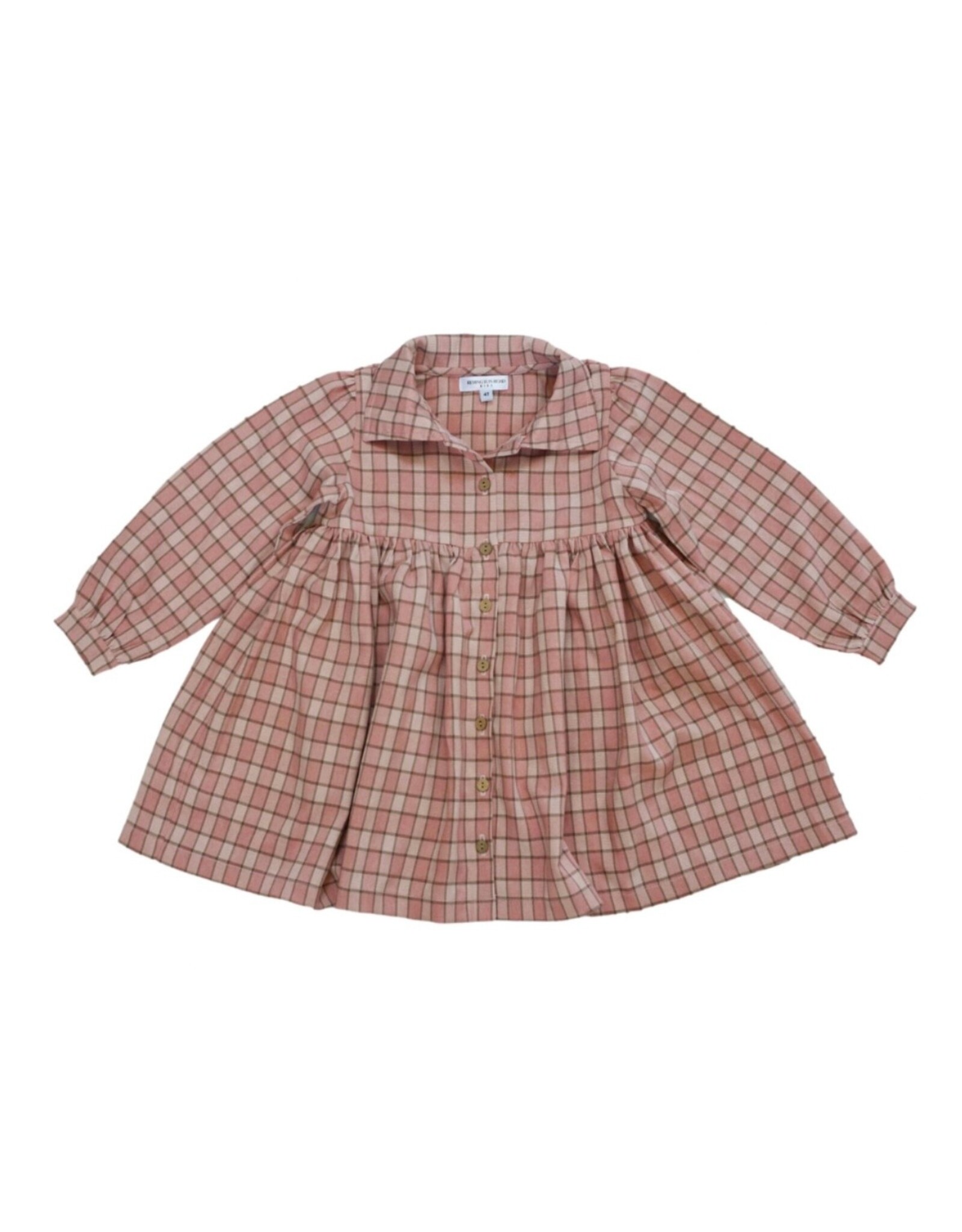 Be Girl Clothing Be Girl- Rose Plaid Collared Dress