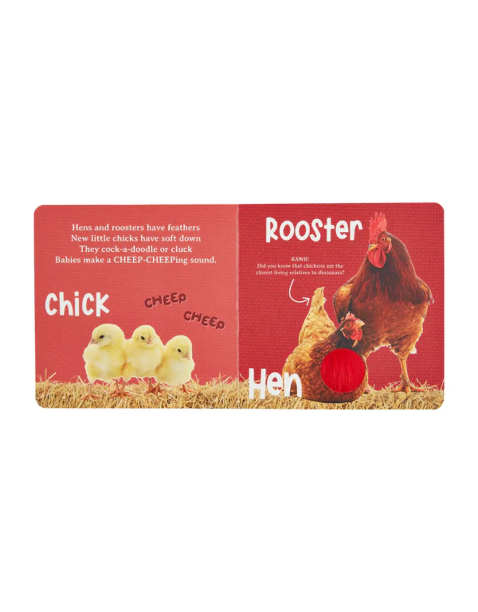 Mudpie Mud Pie- Hear & Feel Farm Book