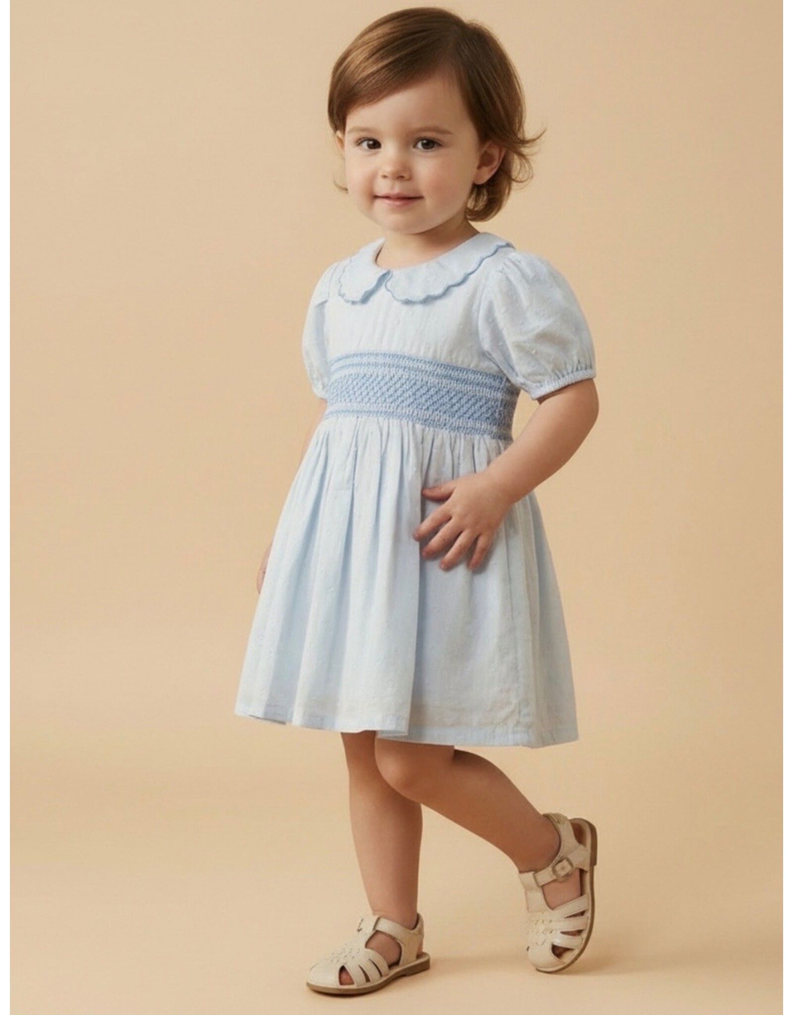 MAKEMAKE Organics MM Organics- Light Blue Smocked Collar Dress