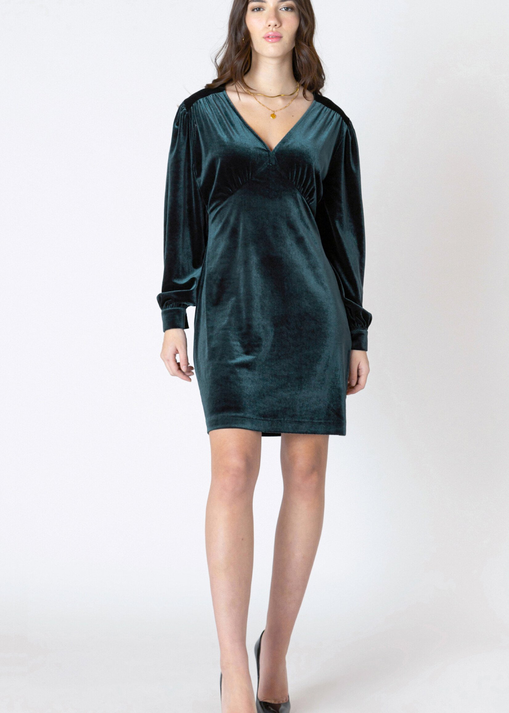 Dex Shanna Velvet Mini