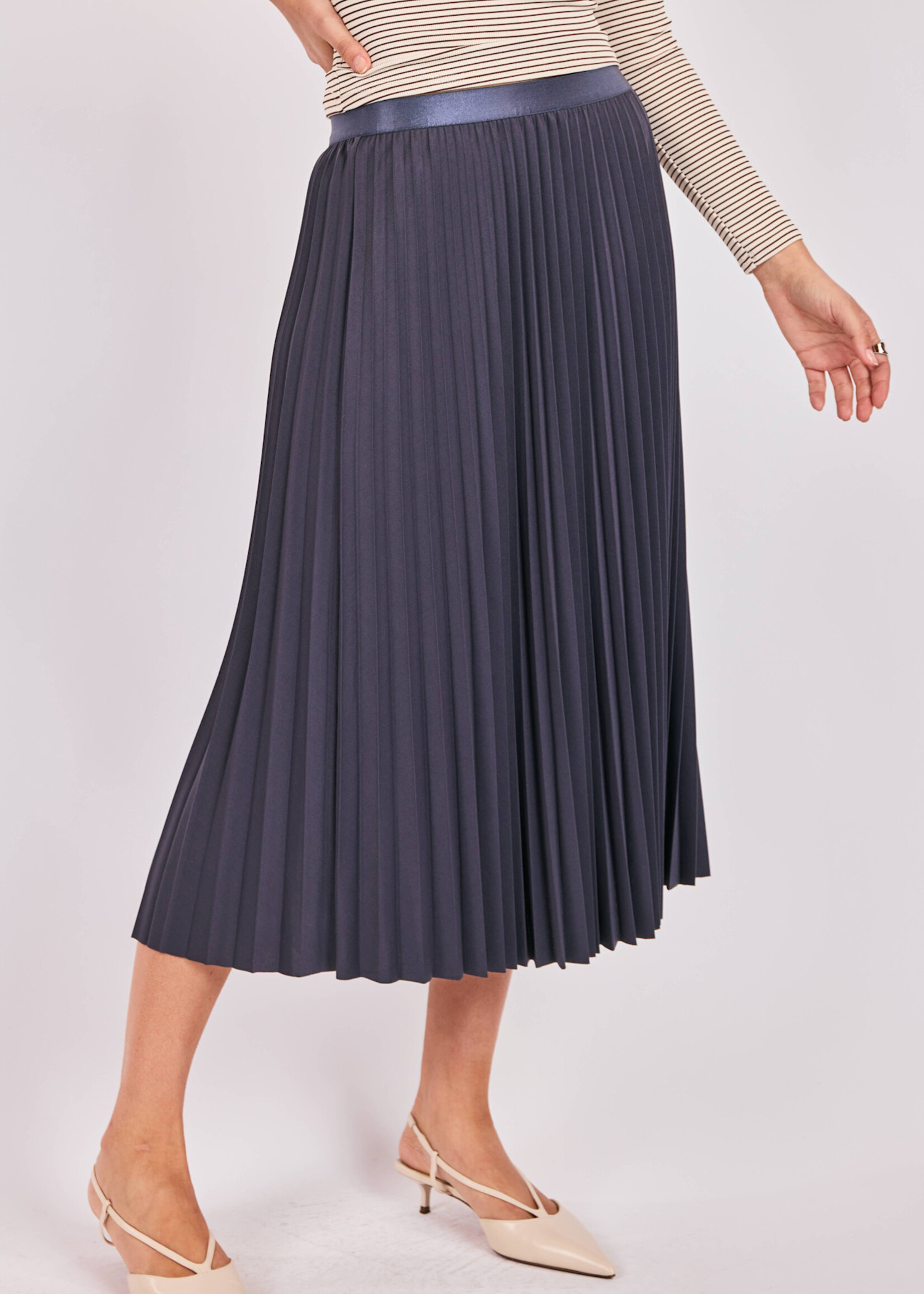 Sadie & Sage Full Of Charm Pleated Skirt