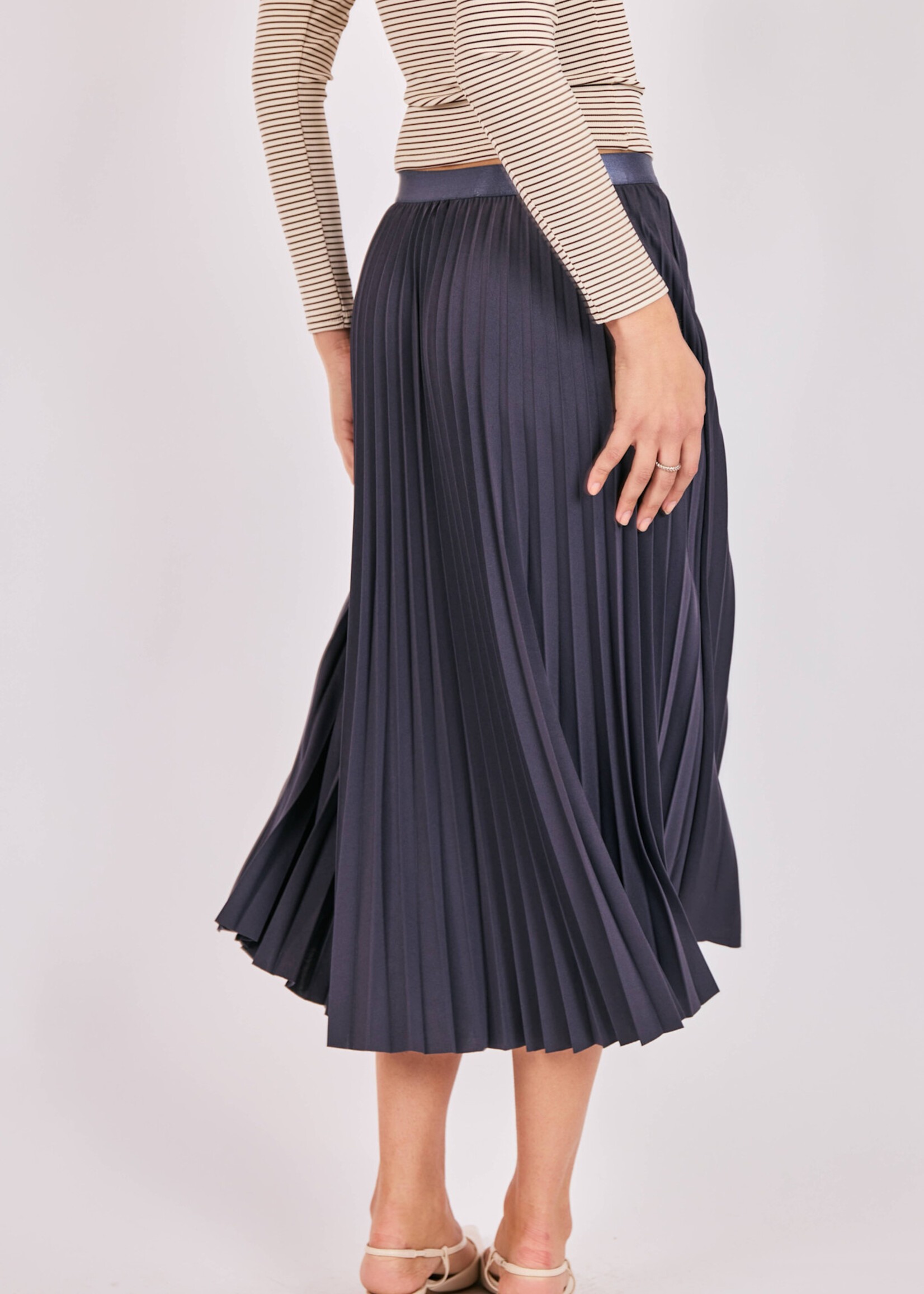 Sadie & Sage Full Of Charm Pleated Skirt