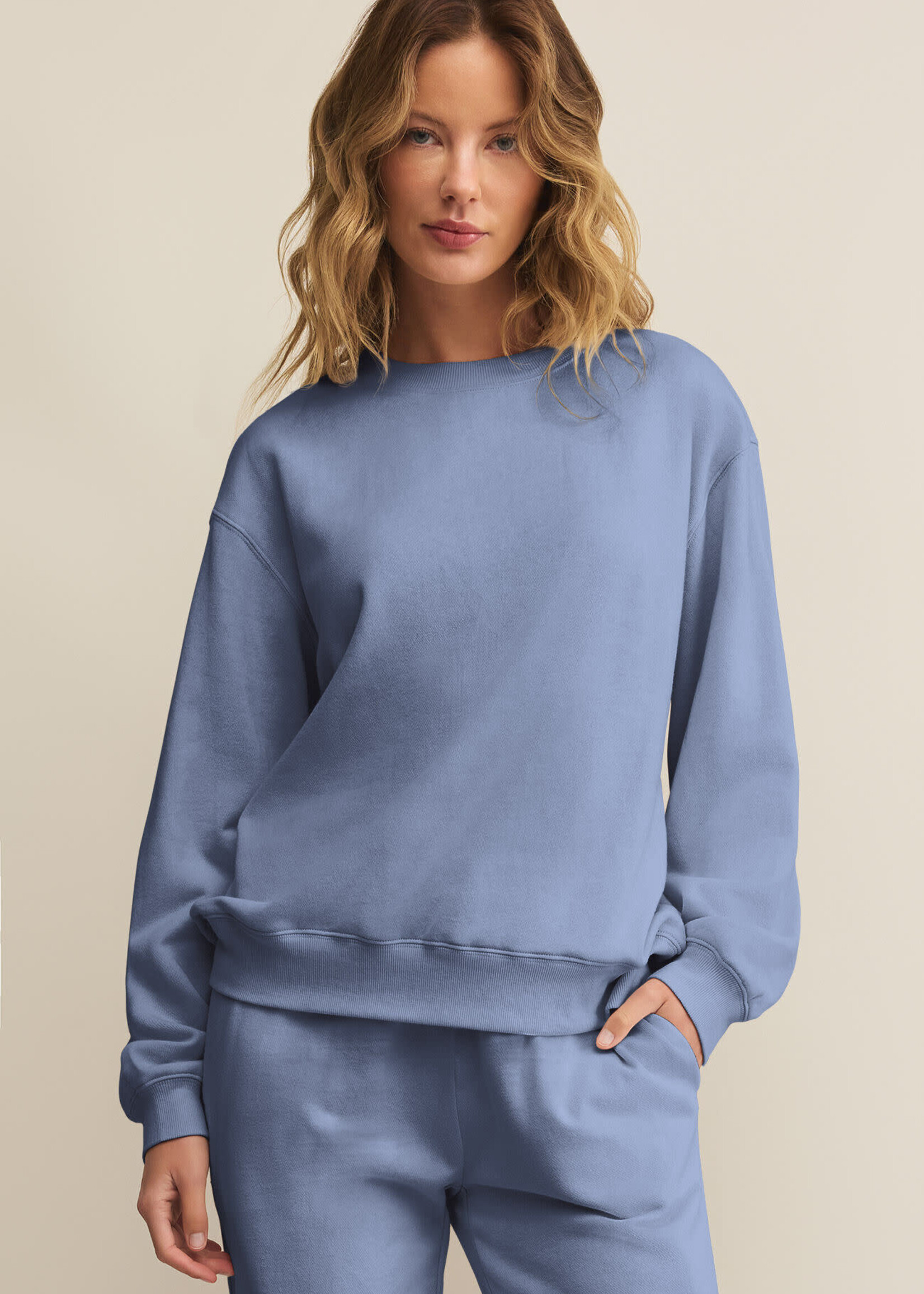 ZSupply Boyfriend Sweatshirt