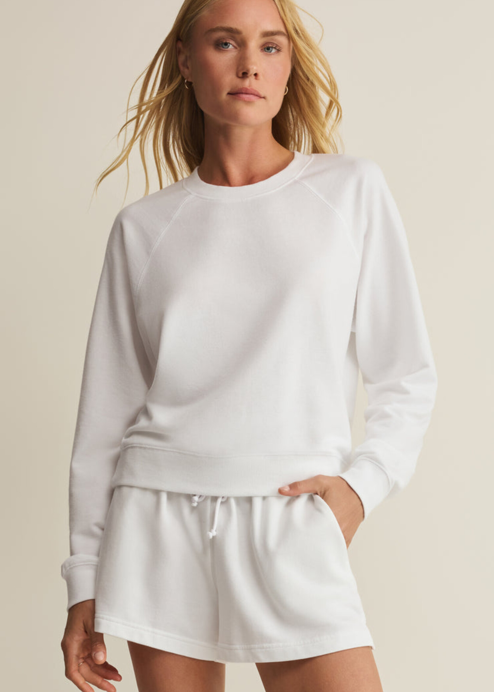ZSupply Saldana Stripe Sweatshirt