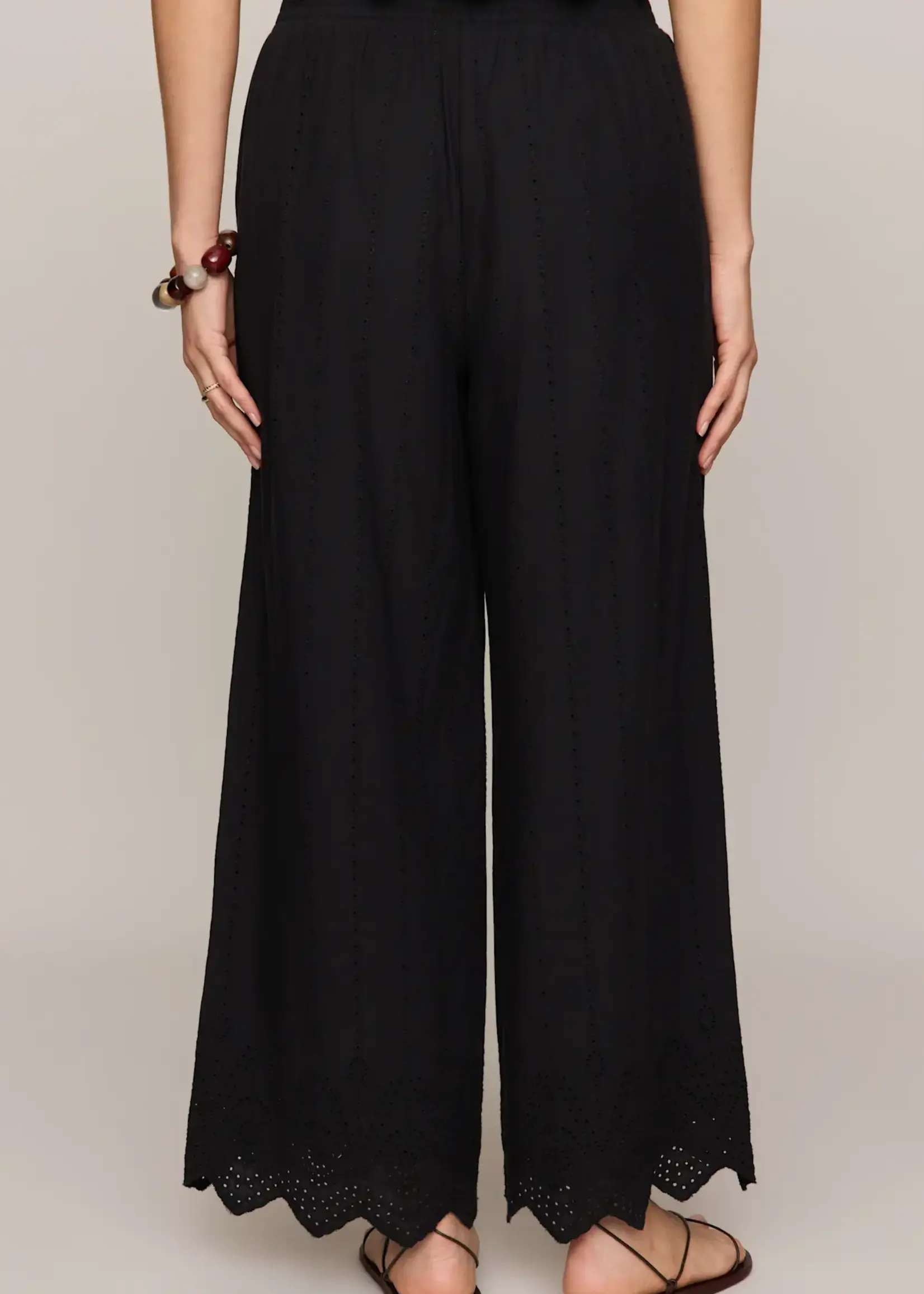 ZSupply Banyan Pant