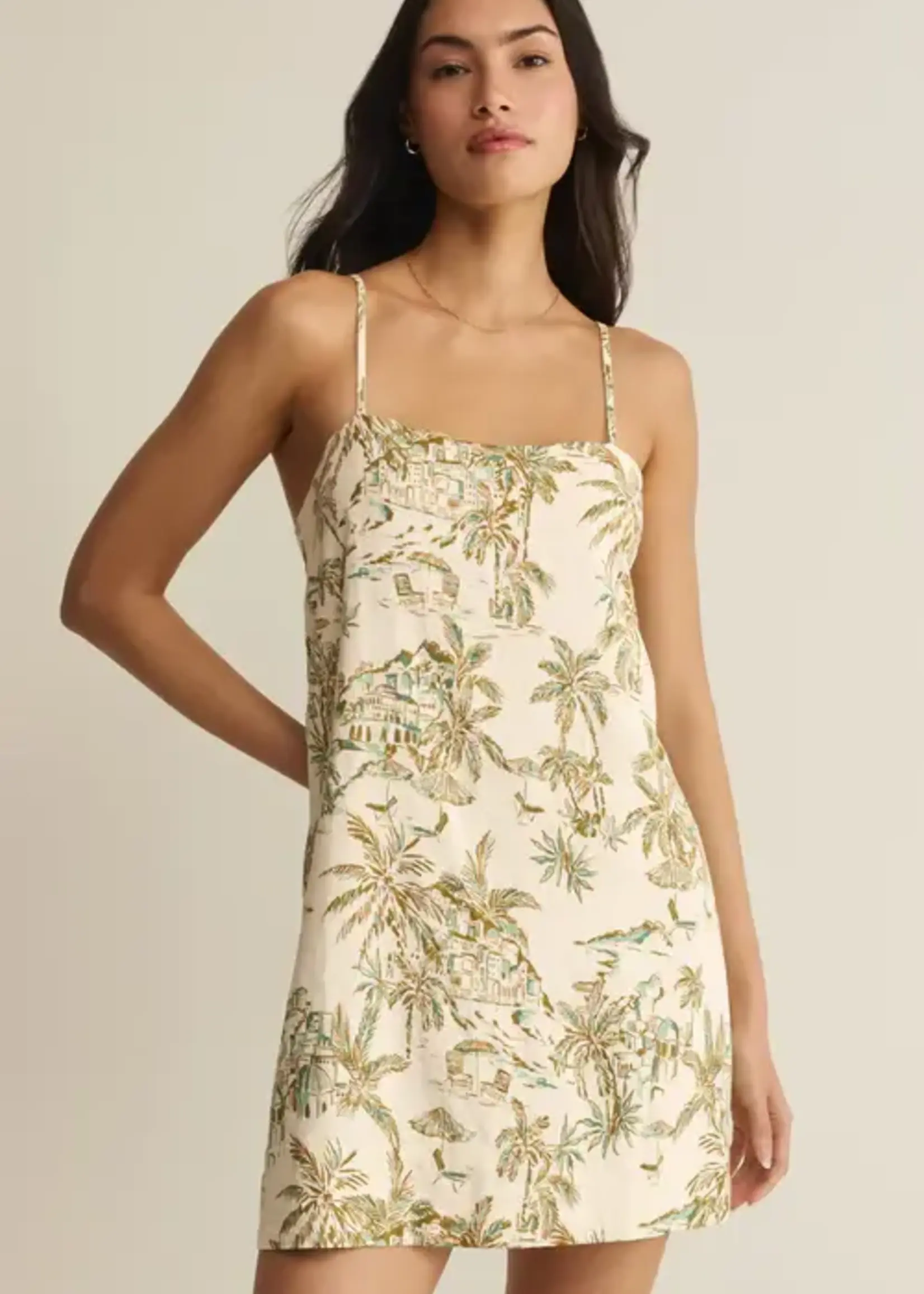 ZSupply Maui Tide Dress