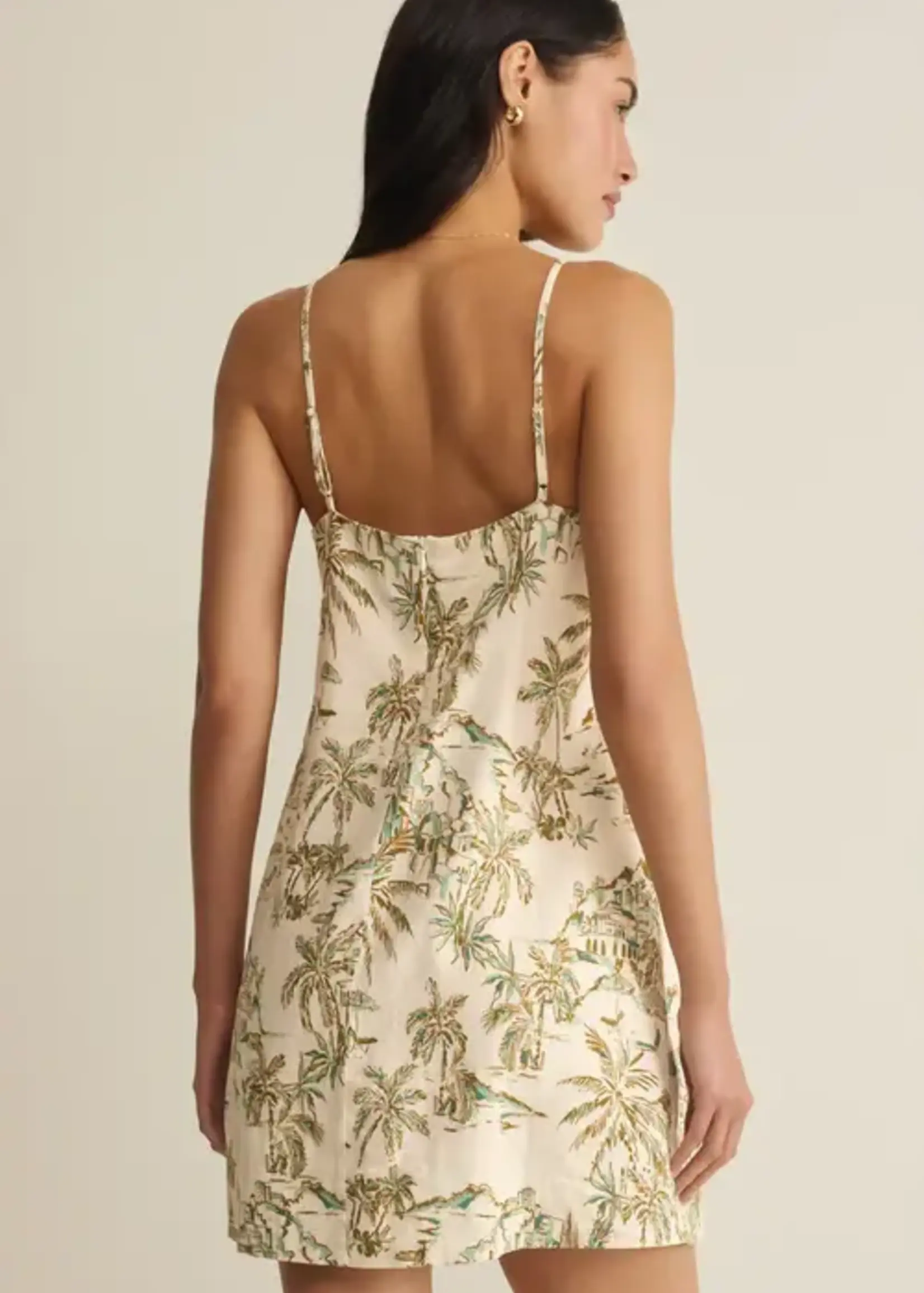 ZSupply Maui Tide Dress