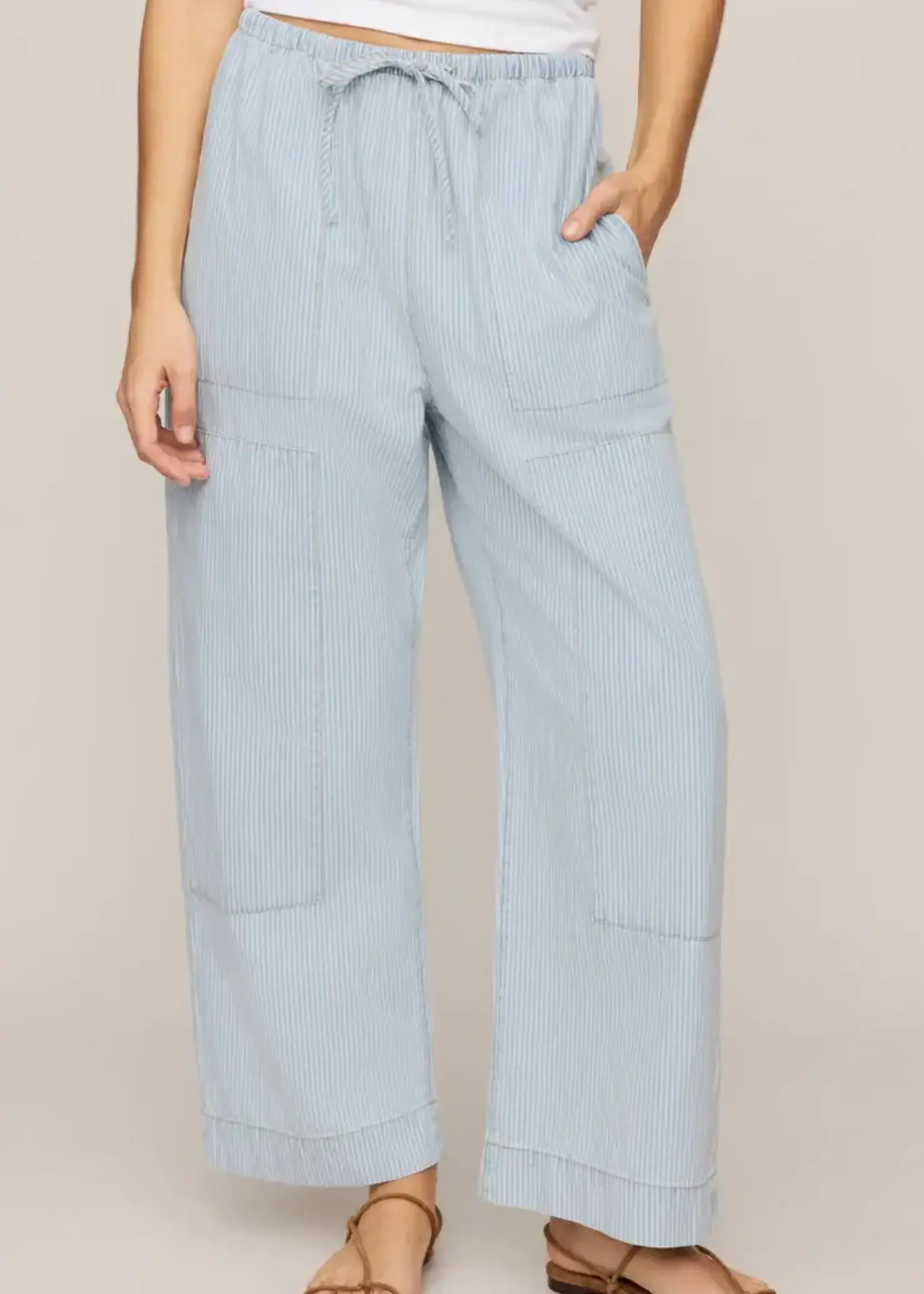 ZSupply The Carpenter Pant