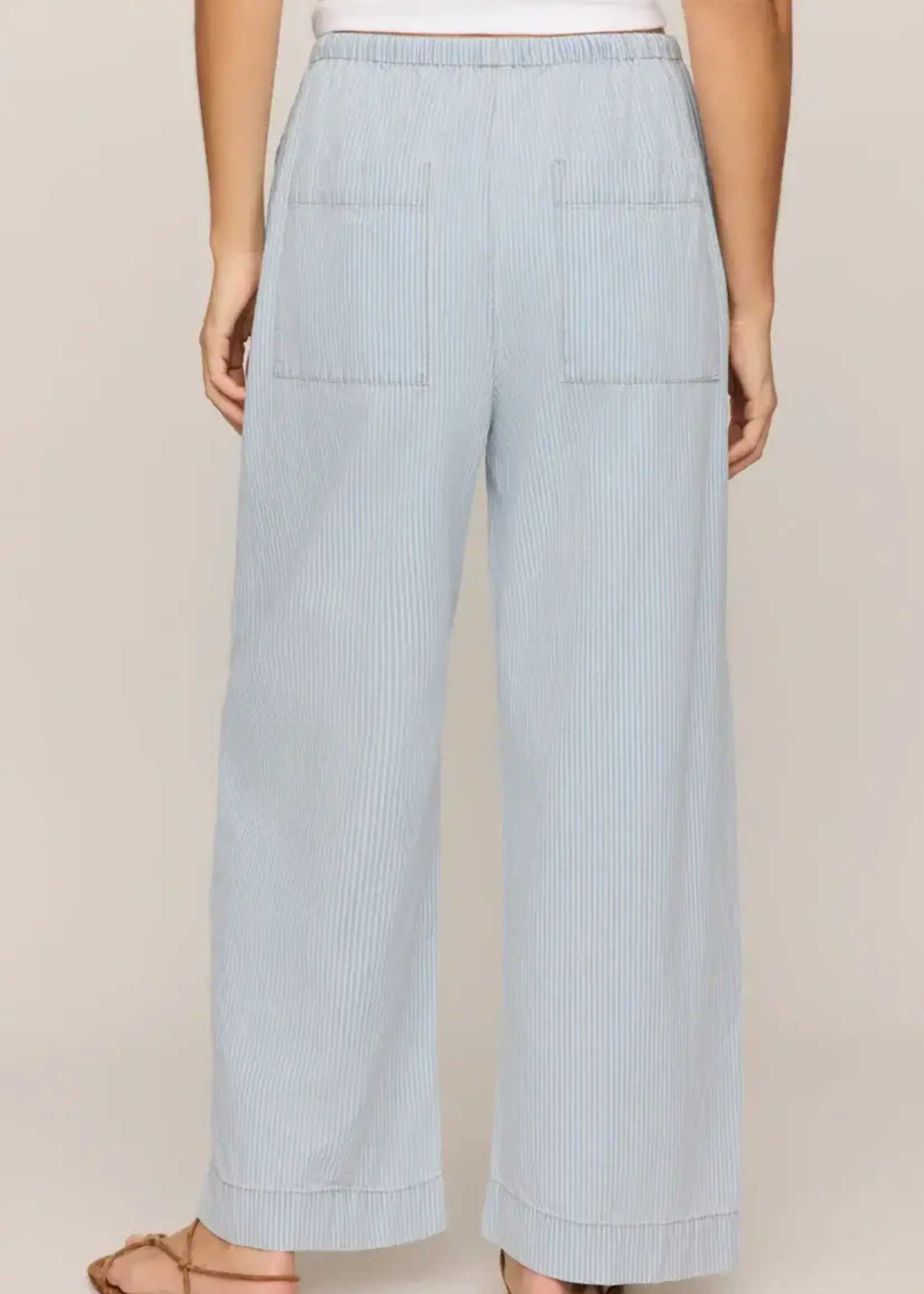 ZSupply The Carpenter Pant