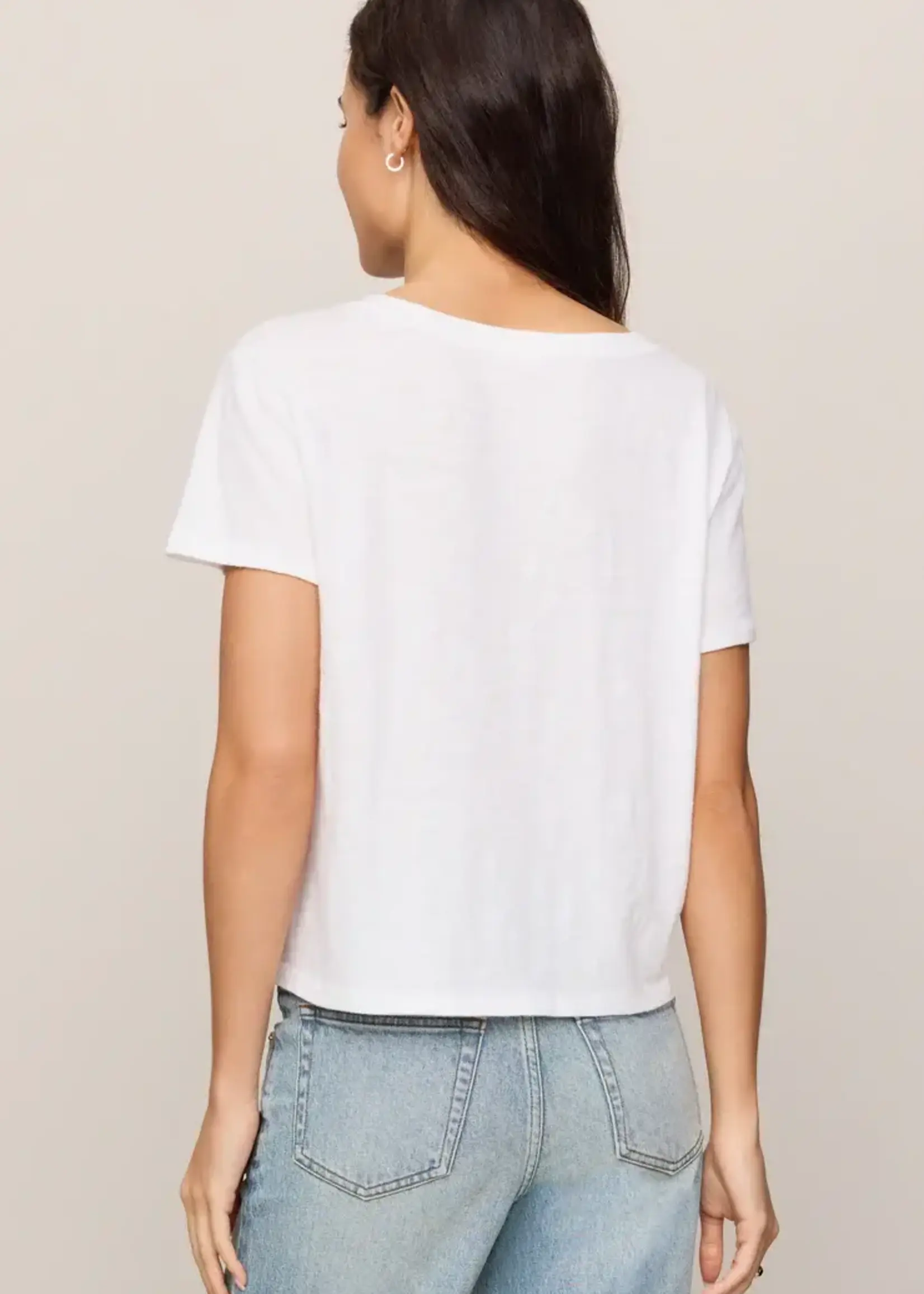 ZSupply Nomad V Neck Tee