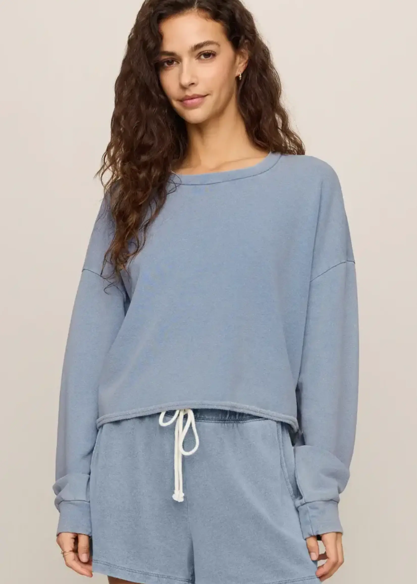 ZSupply Summer Denim Sweatshirt