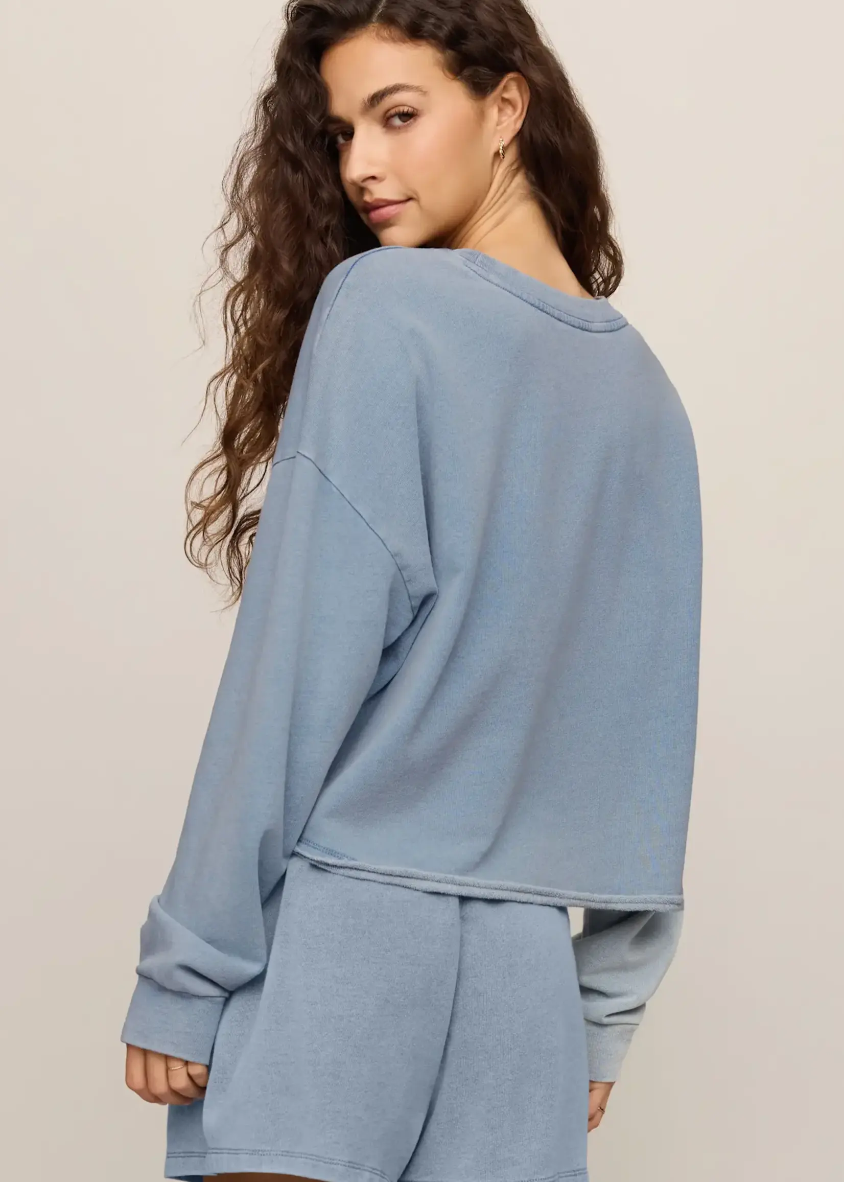 ZSupply Summer Denim Sweatshirt