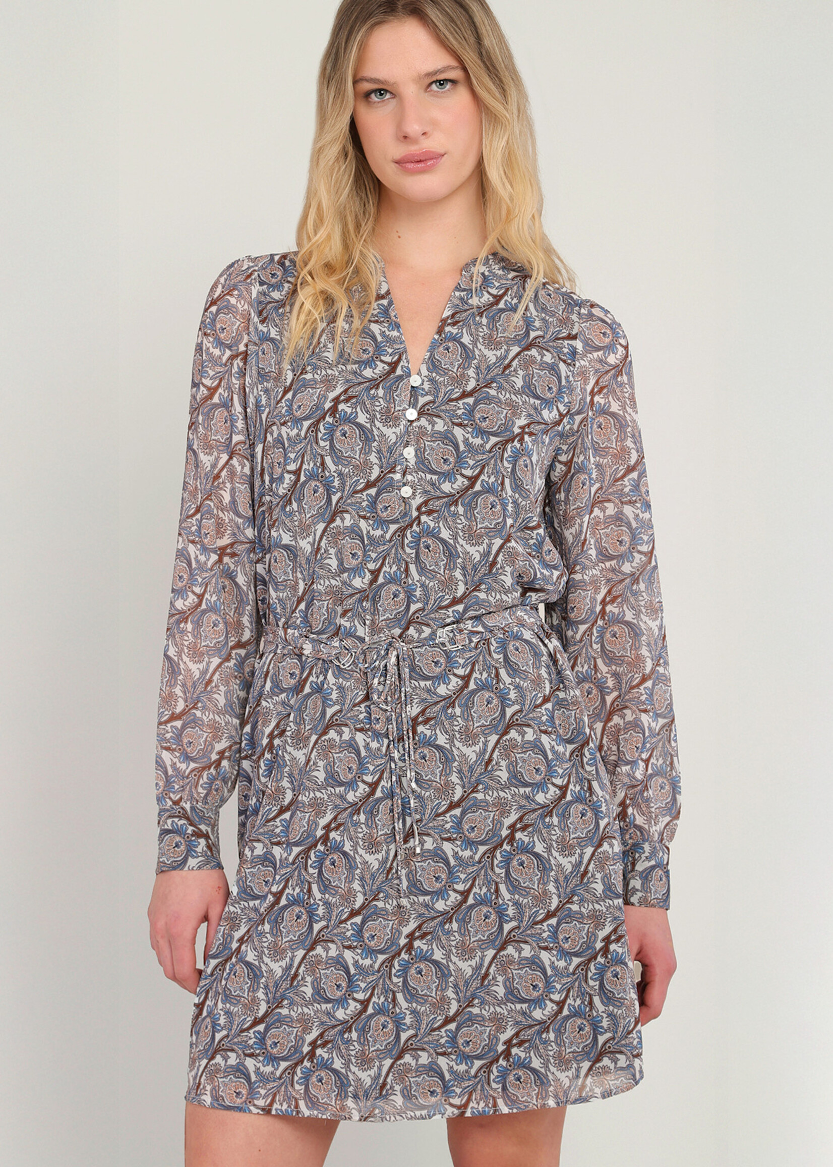 Dex Pretty Paisley Button Dress