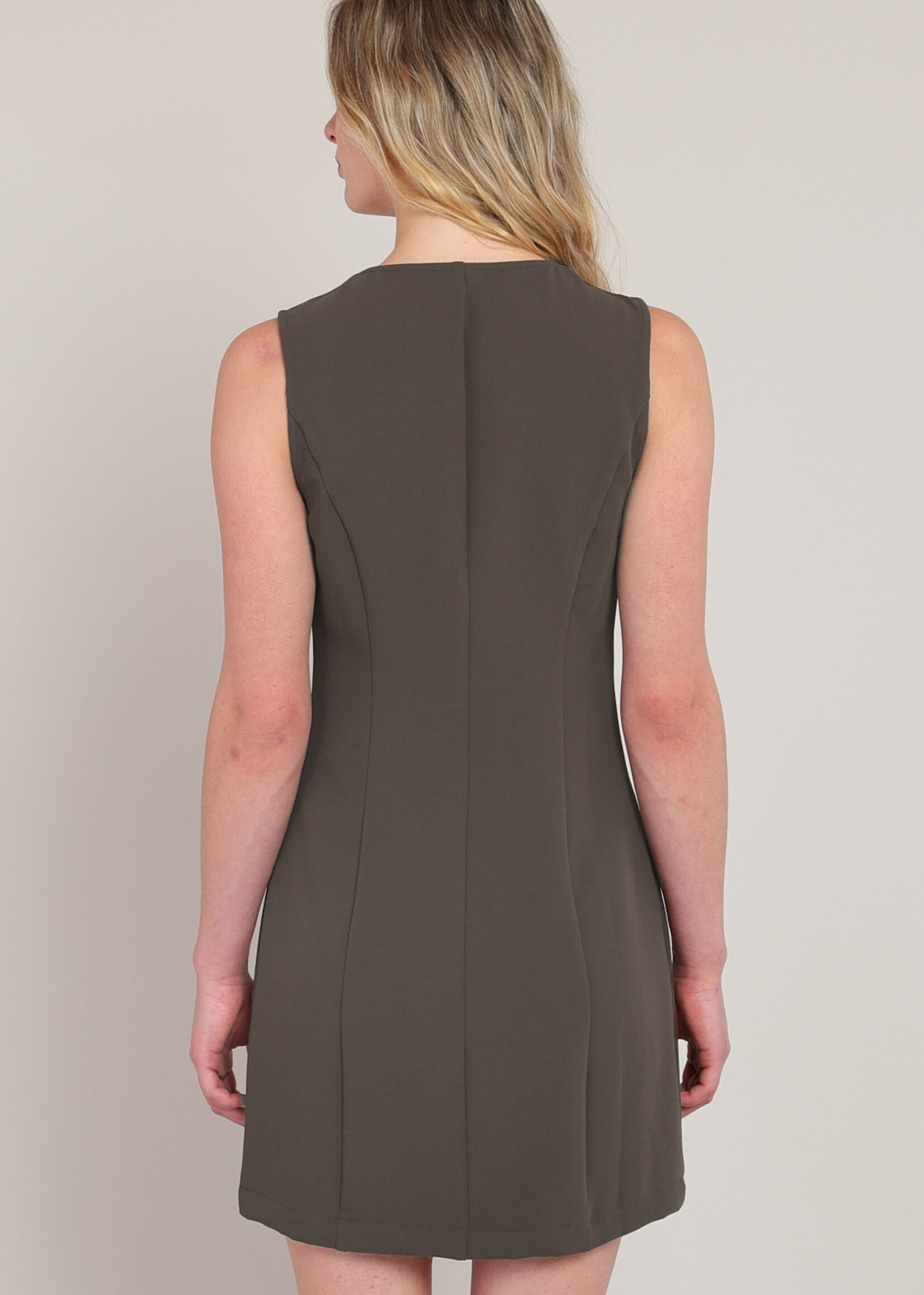 Dex Button-Up Pleated Dress