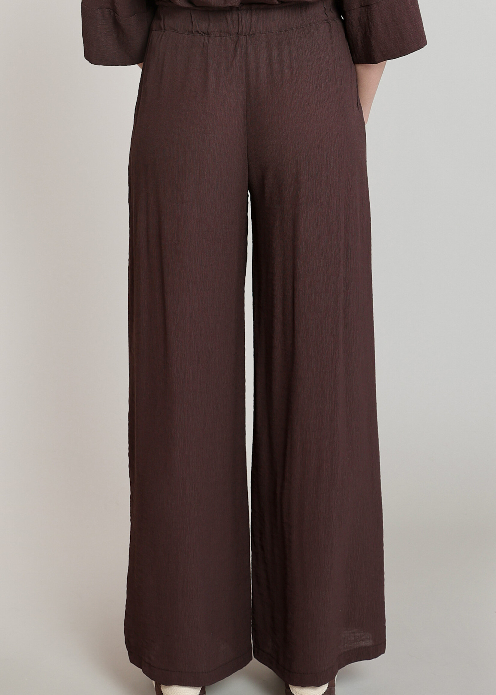 Dex Espresso Crinkle Palazzo Pants