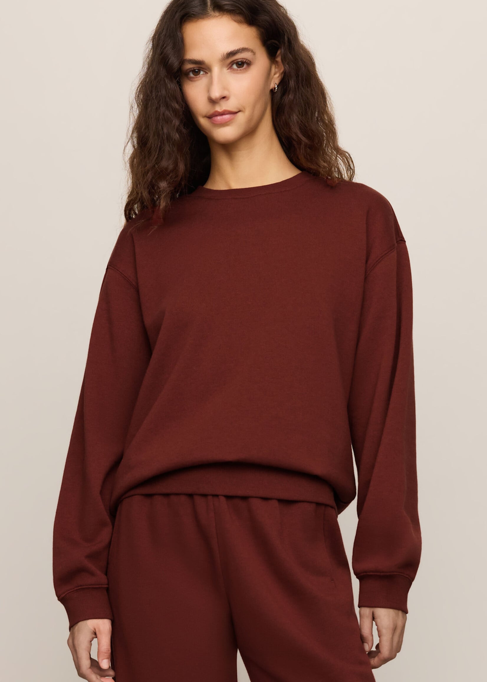 ZSupply Boyfriend Sweatshirt