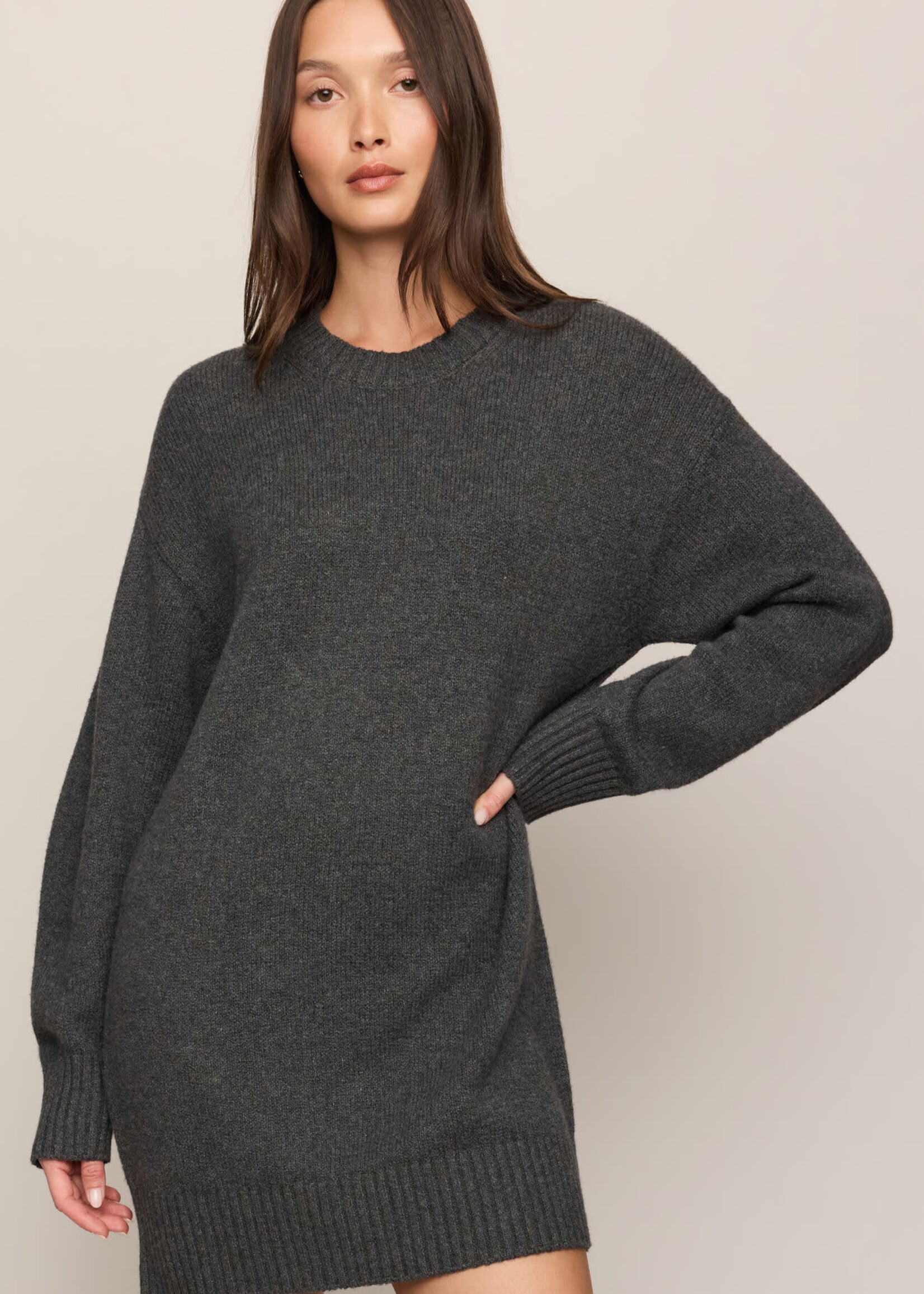 ZSupply Fairmont Sweater Dress
