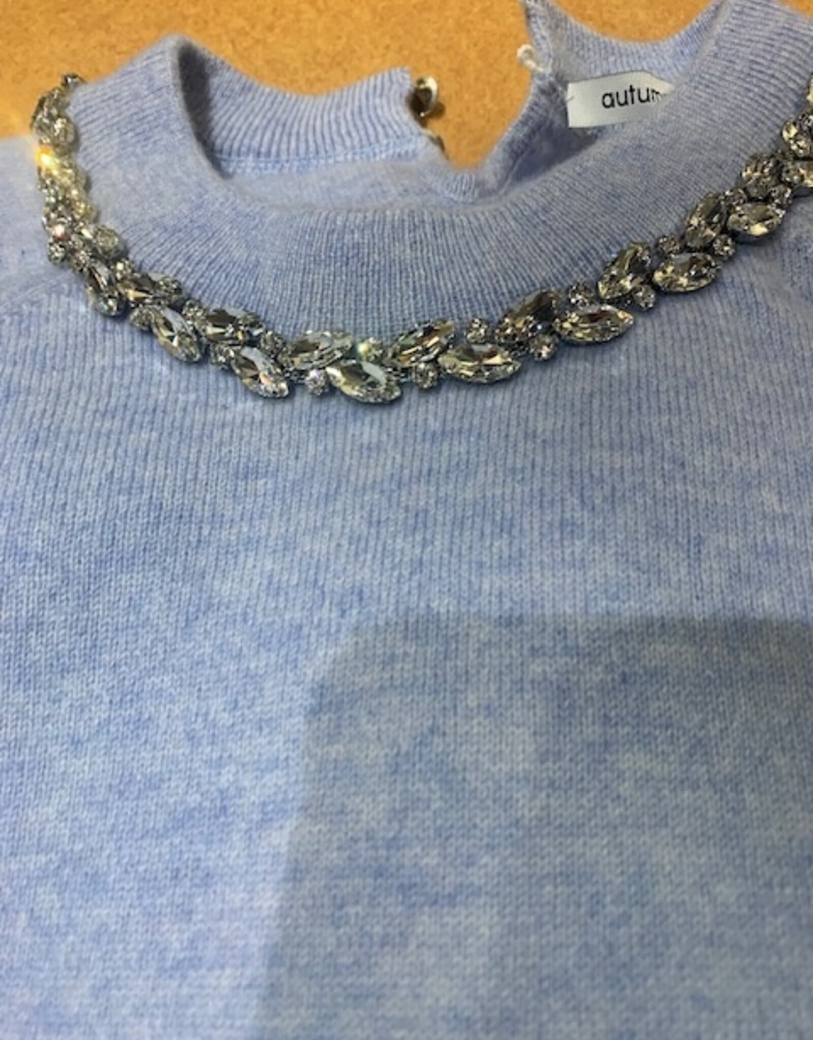Autumn Cashmere Tee W/Rhinestone Trim