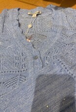 Autumn Cashmere Sequin VNeck Cardi