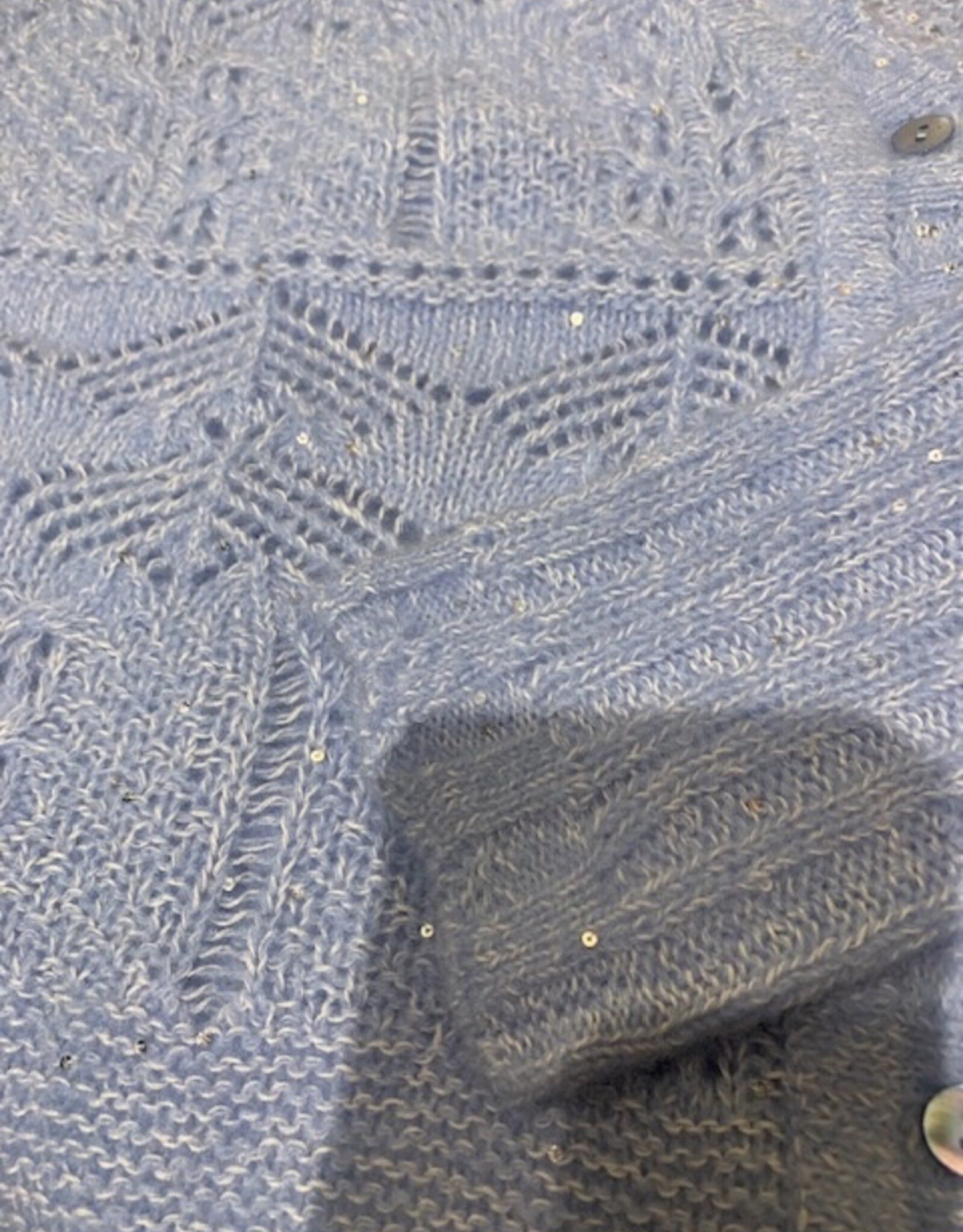 Autumn Cashmere Sequin VNeck Cardi